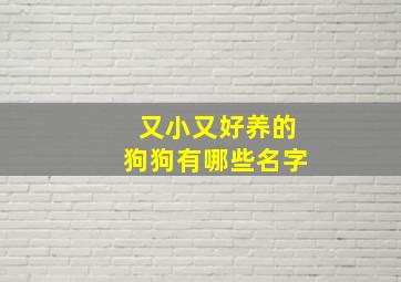 又小又好养的狗狗有哪些名字