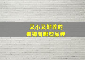 又小又好养的狗狗有哪些品种