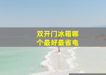 双开门冰箱哪个最好最省电