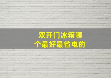 双开门冰箱哪个最好最省电的