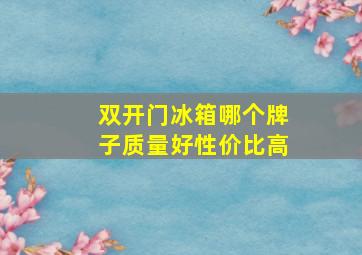 双开门冰箱哪个牌子质量好性价比高