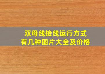 双母线接线运行方式有几种图片大全及价格