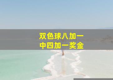 双色球八加一中四加一奖金