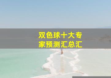 双色球十大专家预测汇总汇