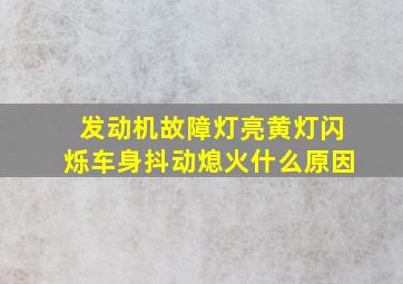 发动机故障灯亮黄灯闪烁车身抖动熄火什么原因