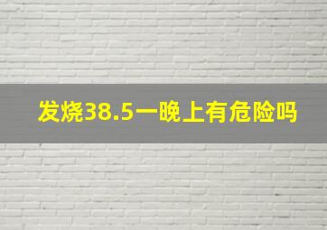 发烧38.5一晚上有危险吗