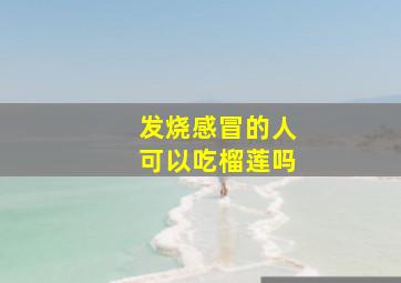 发烧感冒的人可以吃榴莲吗