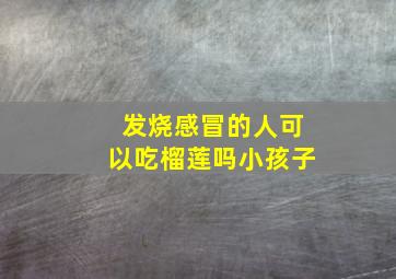 发烧感冒的人可以吃榴莲吗小孩子