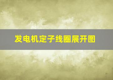 发电机定子线圈展开图