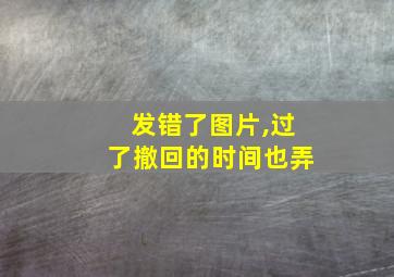 发错了图片,过了撤回的时间也弄