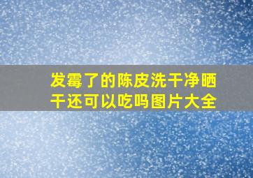 发霉了的陈皮洗干净晒干还可以吃吗图片大全