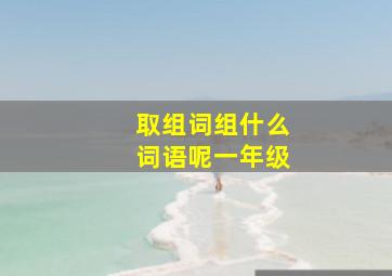 取组词组什么词语呢一年级