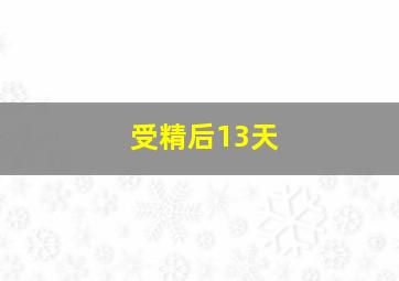 受精后13天