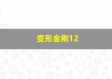 变形金刚12