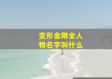 变形金刚全人物名字叫什么