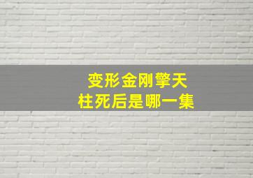 变形金刚擎天柱死后是哪一集