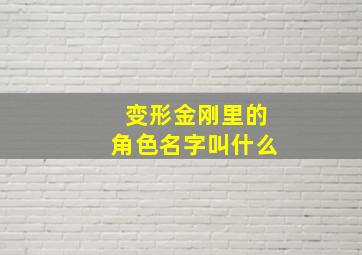 变形金刚里的角色名字叫什么