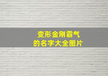 变形金刚霸气的名字大全图片