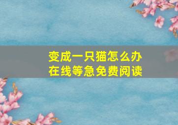 变成一只猫怎么办在线等急免费阅读