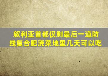 叙利亚首都仅剩最后一道防线复合肥浇菜地里几天可以吃