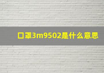 口罩3m9502是什么意思