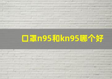 口罩n95和kn95哪个好