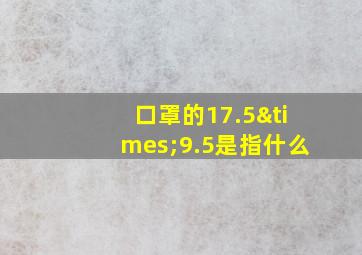 口罩的17.5×9.5是指什么