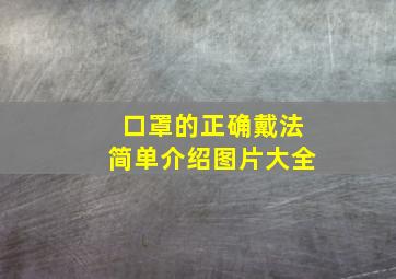 口罩的正确戴法简单介绍图片大全