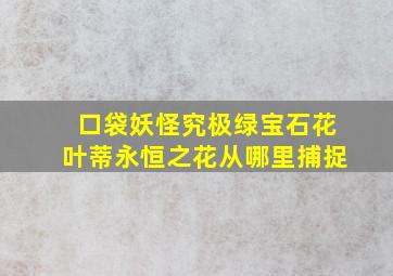 口袋妖怪究极绿宝石花叶蒂永恒之花从哪里捕捉