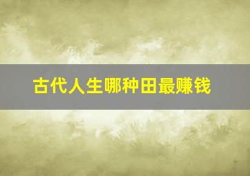 古代人生哪种田最赚钱