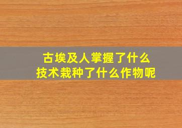 古埃及人掌握了什么技术栽种了什么作物呢