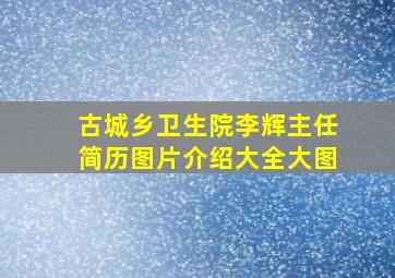 古城乡卫生院李辉主任简历图片介绍大全大图