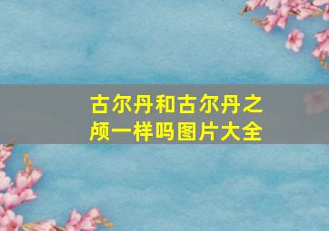 古尔丹和古尔丹之颅一样吗图片大全