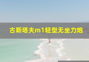 古斯塔夫m1轻型无坐力炮