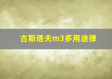 古斯塔夫m3多用途弹