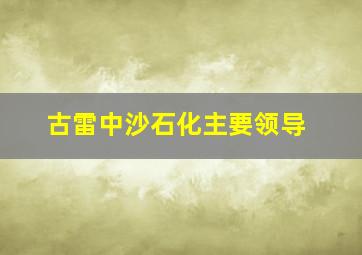 古雷中沙石化主要领导