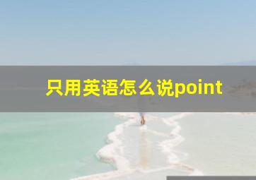 只用英语怎么说point