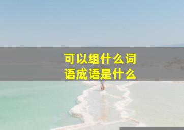 可以组什么词语成语是什么