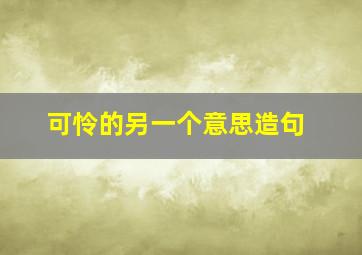 可怜的另一个意思造句