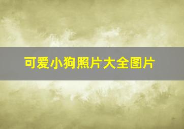 可爱小狗照片大全图片