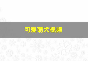 可爱萌犬视频