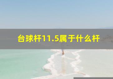 台球杆11.5属于什么杆