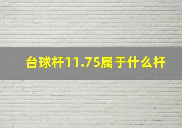 台球杆11.75属于什么杆