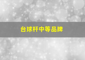 台球杆中等品牌