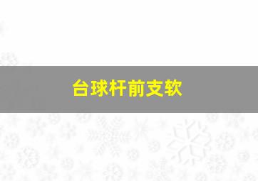 台球杆前支软