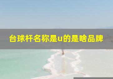 台球杆名称是u的是啥品牌