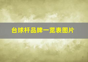 台球杆品牌一览表图片