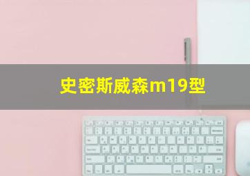 史密斯威森m19型