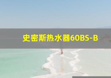 史密斯热水器60BS-B