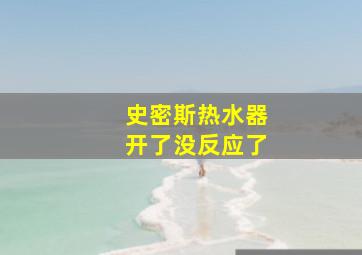 史密斯热水器开了没反应了